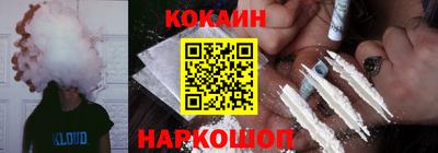 мдпв Кингисепп