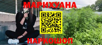 мдпв Кингисепп