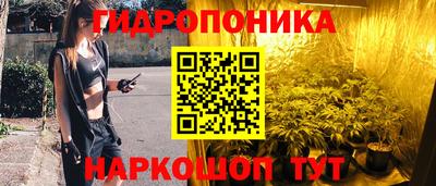 мдпв Кингисепп