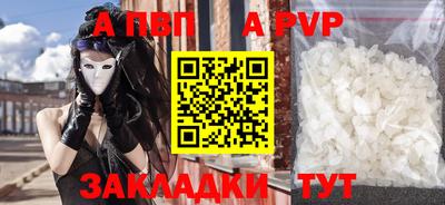 мдпв Кингисепп