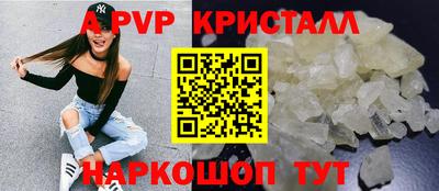 мдпв Кингисепп